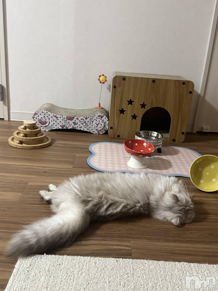 ��ë����Х��顦�����CLUB��Paladin(����֡��ѥ�ǥ���) ���ʤ�9��2���̥�֥����ֶ�ʢ�³�ǭ��