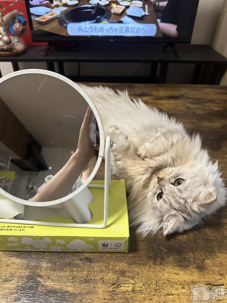 ��ë����Х��顦�����CLUB��Paladin(����֡��ѥ�ǥ���) ���ʤ�10��1���̥�֥����֤ˤ��ฅ•��•ฅ��