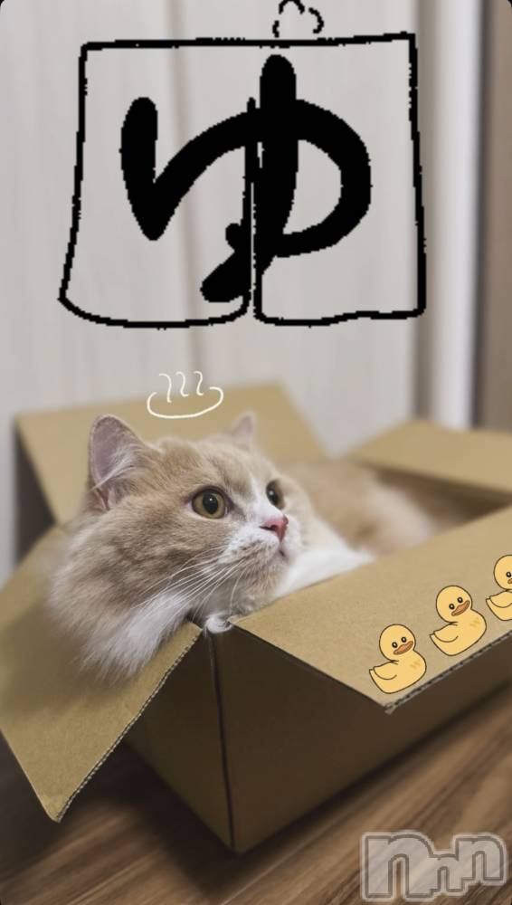 ��ë����Х��顦�����CLUB��Paladin(����֡��ѥ�ǥ���) ���ʤ�10��9���̥�֥�����♨🐥🛁��