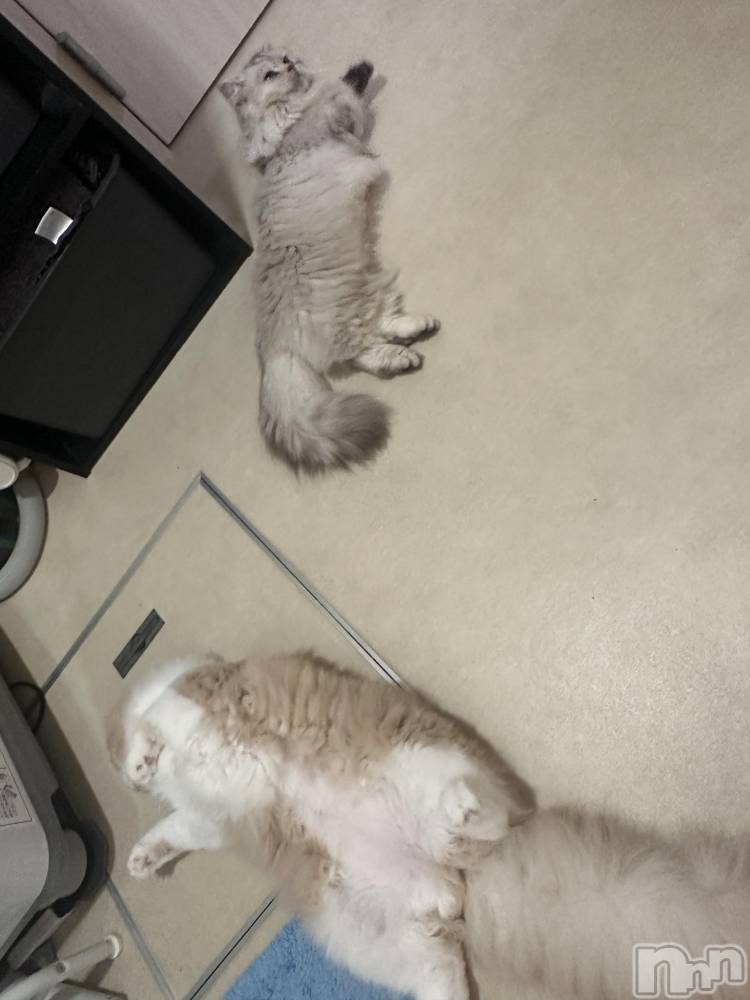 ��ë����Х��顦�����CLUB��Paladin(����֡��ѥ�ǥ���) ���ʤ�10��14���̥�֥���������ͥ�c�ޤ�.��.)�á�