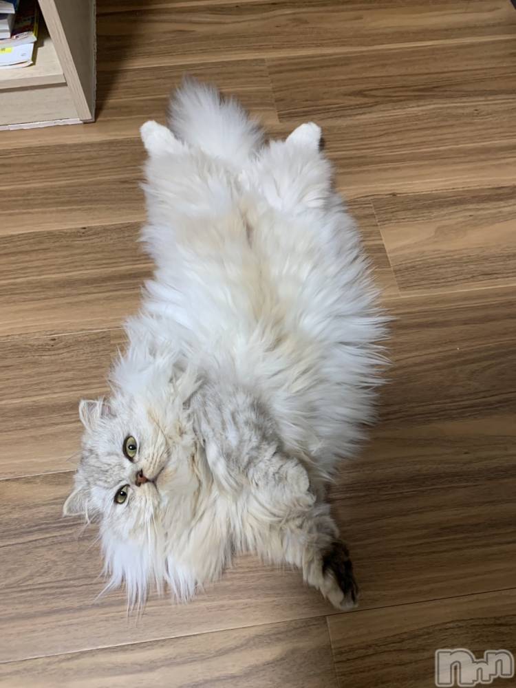 ��ë����Х��顦�����CLUB��Paladin(����֡��ѥ�ǥ���) ���ʤ�11��15���̥�֥��������Ӥ⤳�⤳�����☁️��