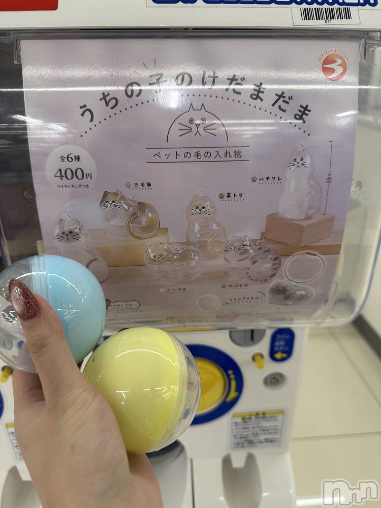 ��ë����Х��顦�����CLUB��Paladin(����֡��ѥ�ǥ���) ���ʤ�11��25���̥�֥����֥����㥬�����(���꒳��� ����