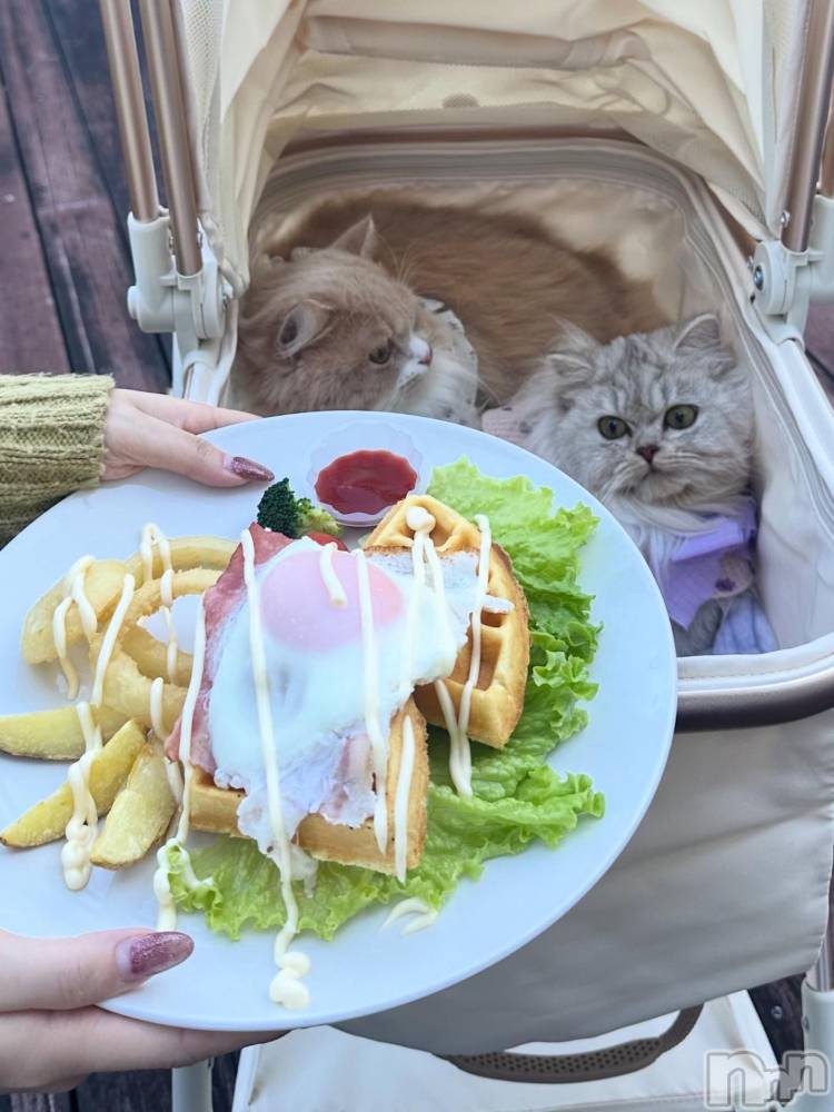 ��ë����Х��顦�����CLUB��Paladin(����֡��ѥ�ǥ���) ���ʤ�12��5���̥�֥�����☕*���