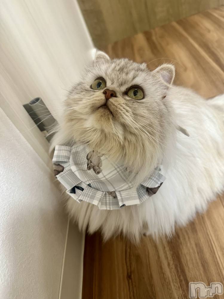 ��ë����Х��顦�����CLUB��Paladin(����֡��ѥ�ǥ���) ���ʤ�12��16���̥�֥�����🧸🍼‪‪🍼��