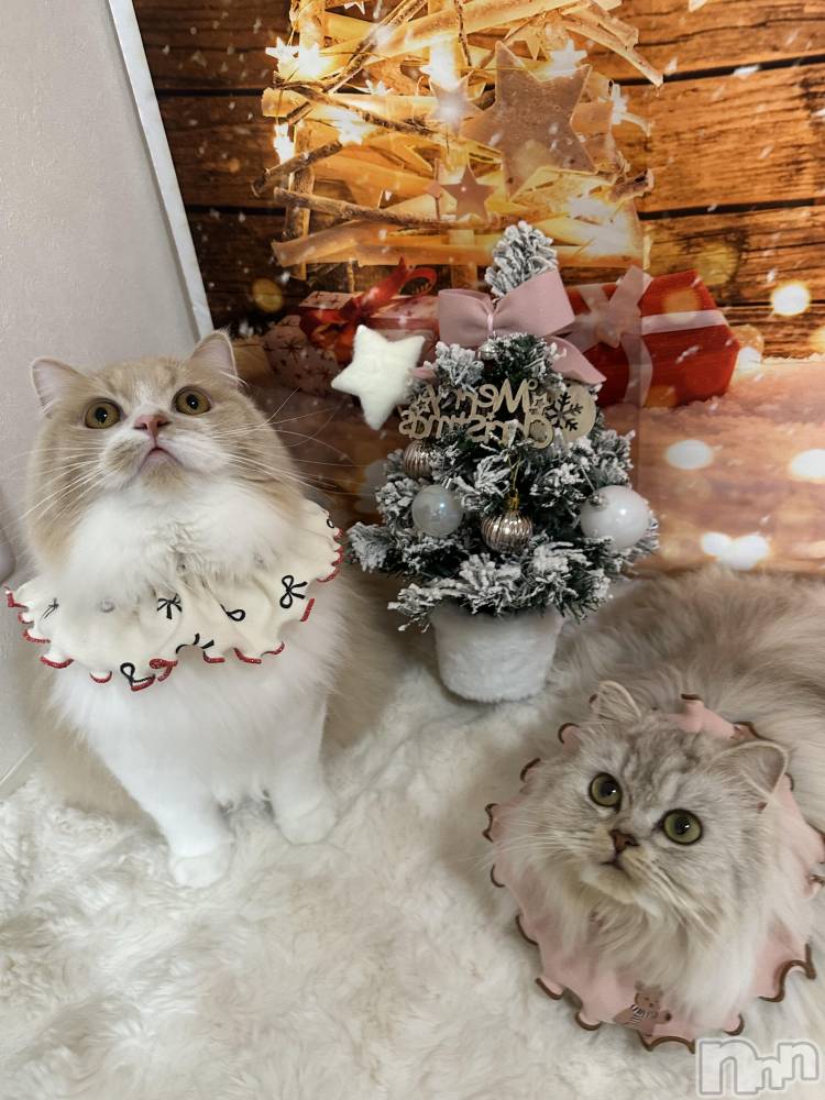 ��ë����Х��顦�����CLUB��Paladin(����֡��ѥ�ǥ���) ���ʤ�12��25���̥�֥�����⛄️🎄❄️��