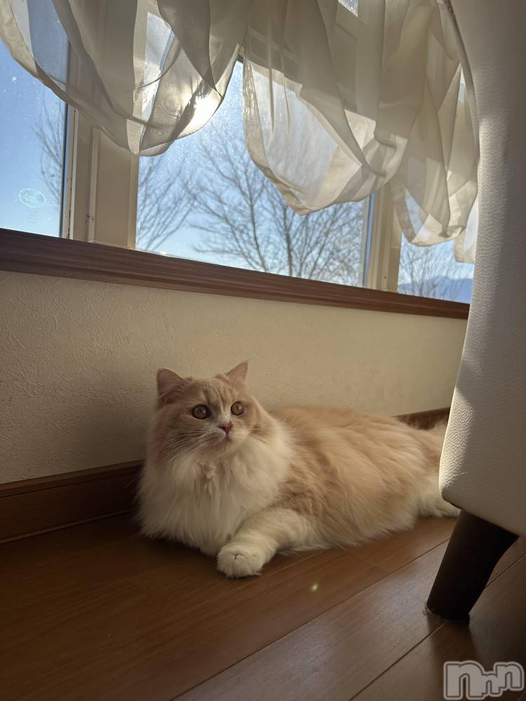 ��ë����Х��顦�����CLUB��Paladin(����֡��ѥ�ǥ���) ���ʤ�1��6���̥�֥����������ޤ��Ƥ���ǤȤ��������ޤ�🐴��