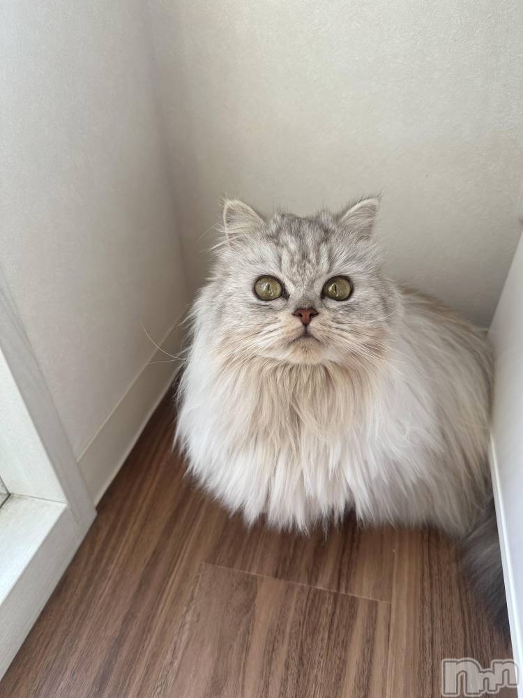 ��ë����Х��顦�����CLUB��Paladin(����֡��ѥ�ǥ���) ���ʤ�1��25���̥�֥�����⛄️⛄️��