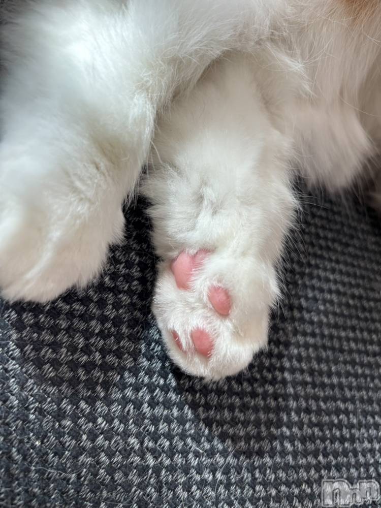 ��ë����Х��顦�����CLUB��Paladin(����֡��ѥ�ǥ���) ���ʤ�1��29���̥�֥�����⛄️��