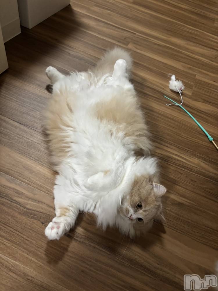 ��ë����Х��顦�����CLUB��Paladin(����֡��ѥ�ǥ���) ���ʤ�2��15���̥�֥����֤⤳�⤳��