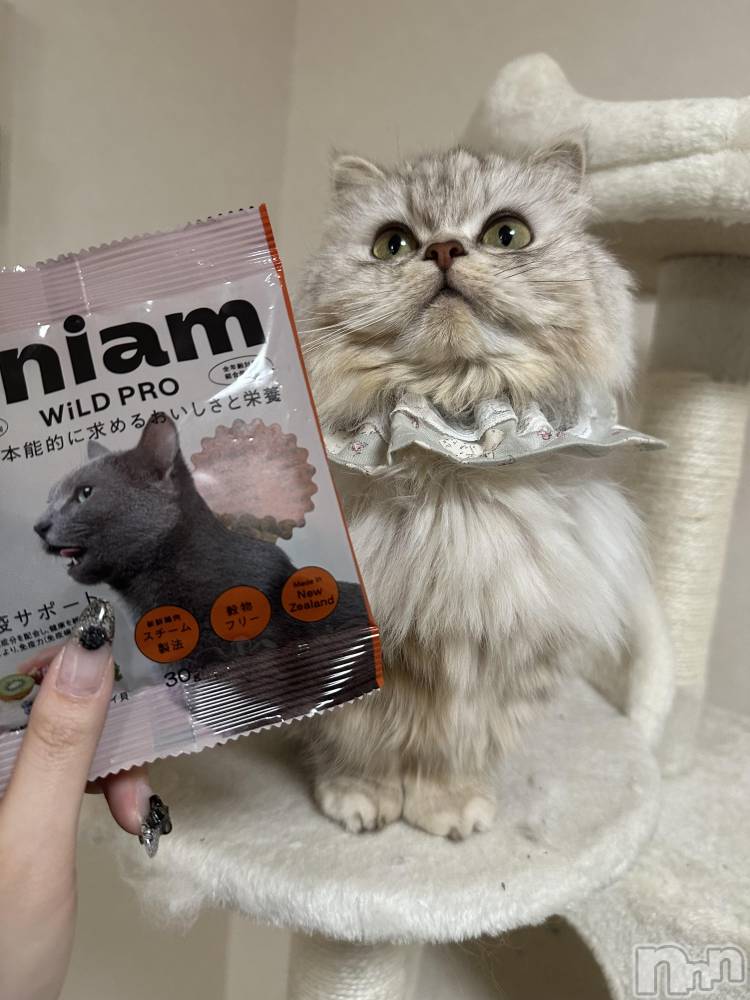 ��ë����Х��顦�����CLUB��Paladin(����֡��ѥ�ǥ���) ���ʤ�3��12���̥�֥�����new🍚��-��