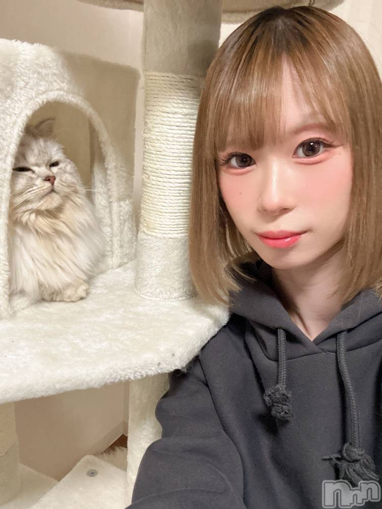 ��ë����Х��顦�����CLUB��Paladin(����֡��ѥ�ǥ���) ���ʤ�3��13���̥�֥�����(  ³��³  )🐈zzzzz��