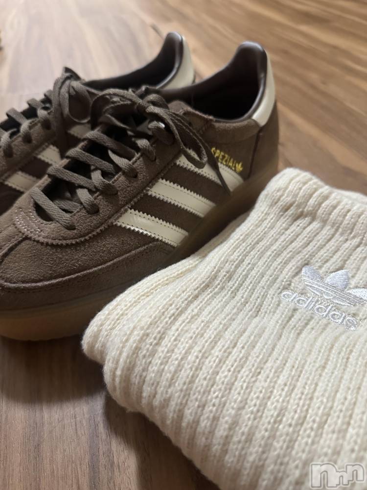 ��ë����Х��顦�����CLUB��Paladin(����֡��ѥ�ǥ���) ���ʤ�3��19���̥�֥�����adidas��