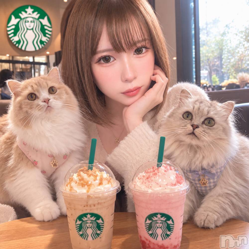 ��ë����Х��顦�����CLUB��Paladin(����֡��ѥ�ǥ���) ���ʤ�10��6���̥�֥�����☕️🌿.•*��