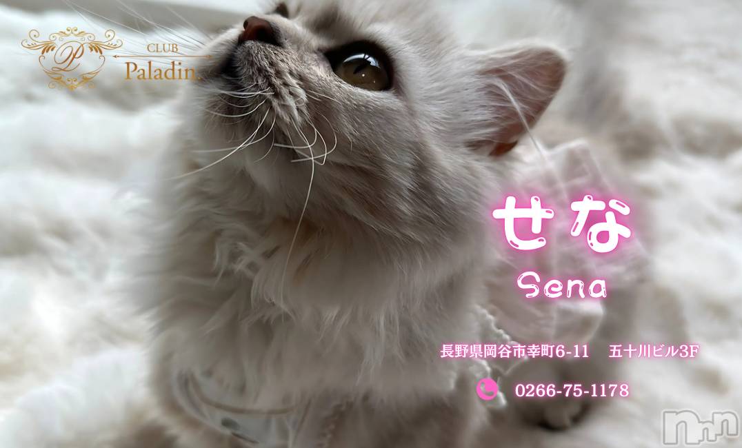 ��ë����Х��顦�����CLUB��Paladin(����֡��ѥ�ǥ���) ��2025ǯ7��9���̥�֥����ֽ�̾��✨𝗻𝗲𝘄✨��