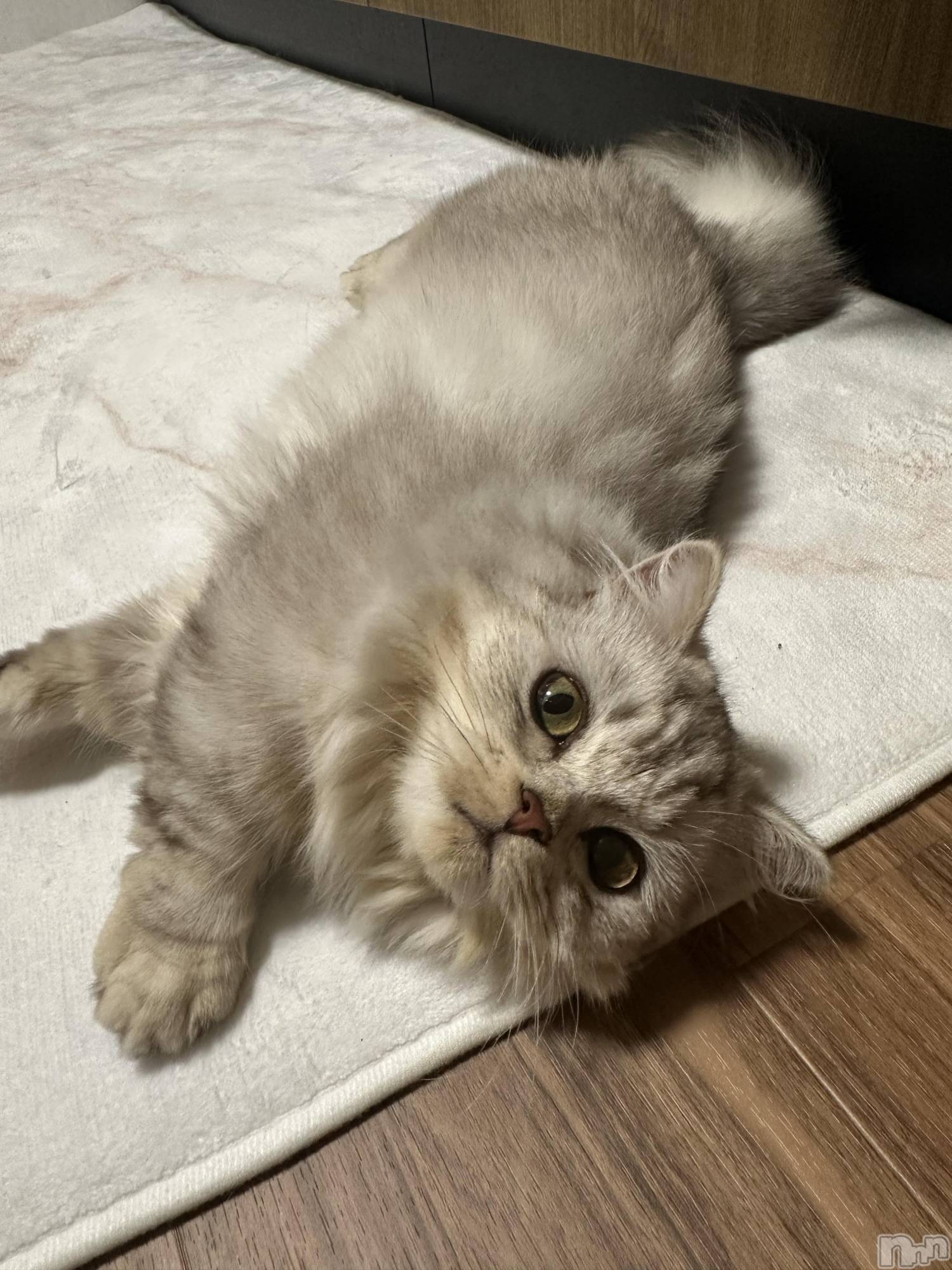 ��ë����Х��顦�����CLUB��Paladin(����֡��ѥ�ǥ���) ��2025ǯ8��2���̥�֥����ֽ뤤🫠��