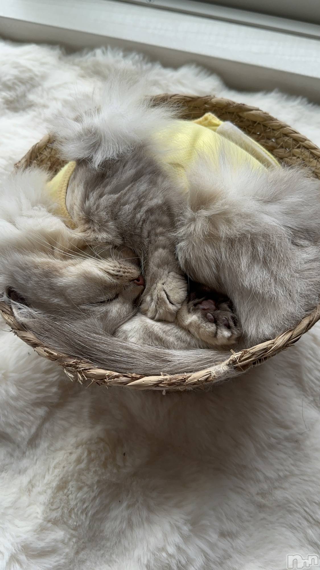 ��ë����Х��顦�����CLUB��Paladin(����֡��ѥ�ǥ���) ��2025ǯ8��7���̥�֥����֤ޤ�🧺𓂃 𓈒𓏸◌‬��