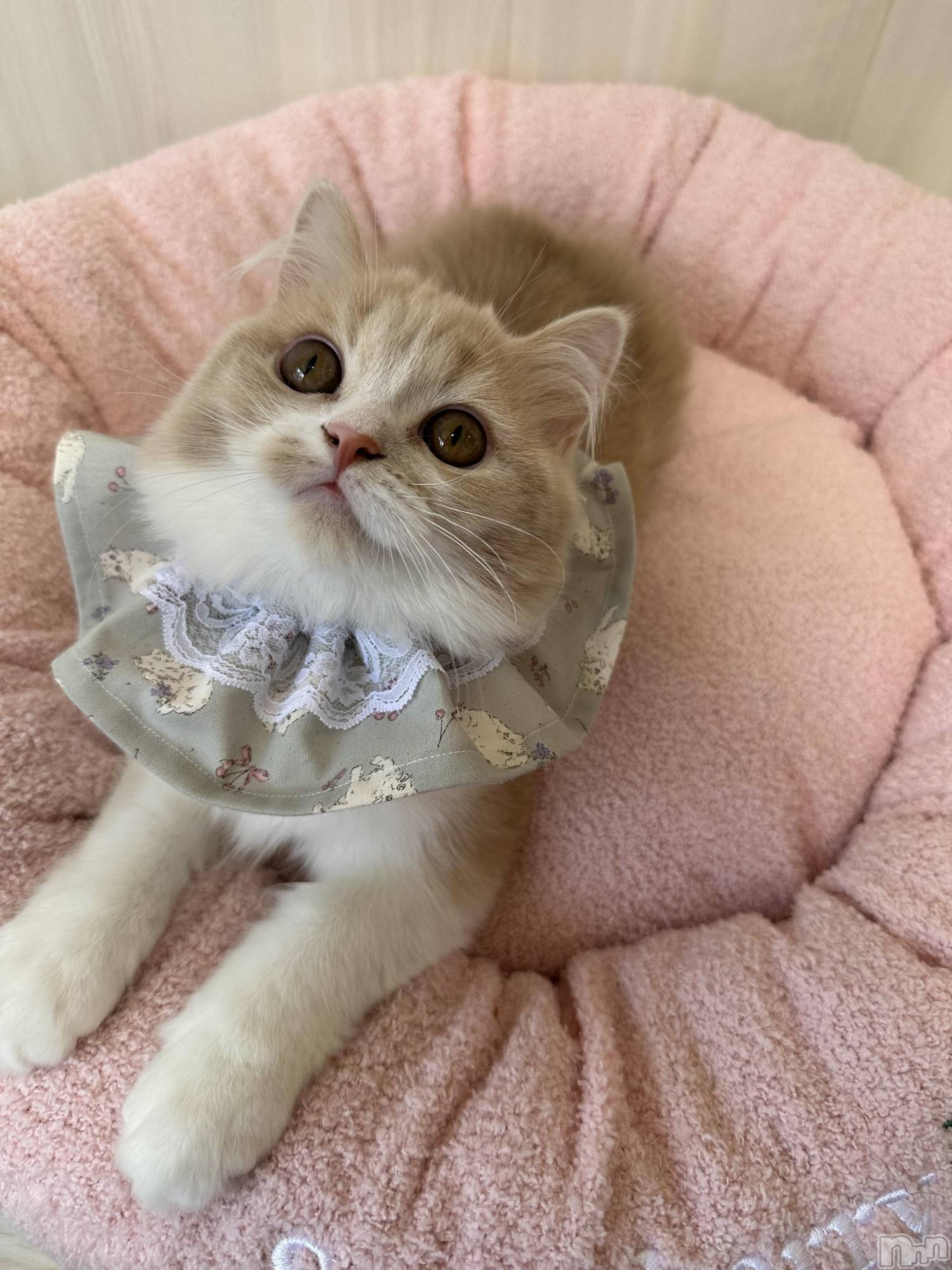 ��ë����Х��顦�����CLUB��Paladin(����֡��ѥ�ǥ���) ��2025ǯ8��9���̥�֥�����T����ĥ��٥�ȤǤ���✌🏻��