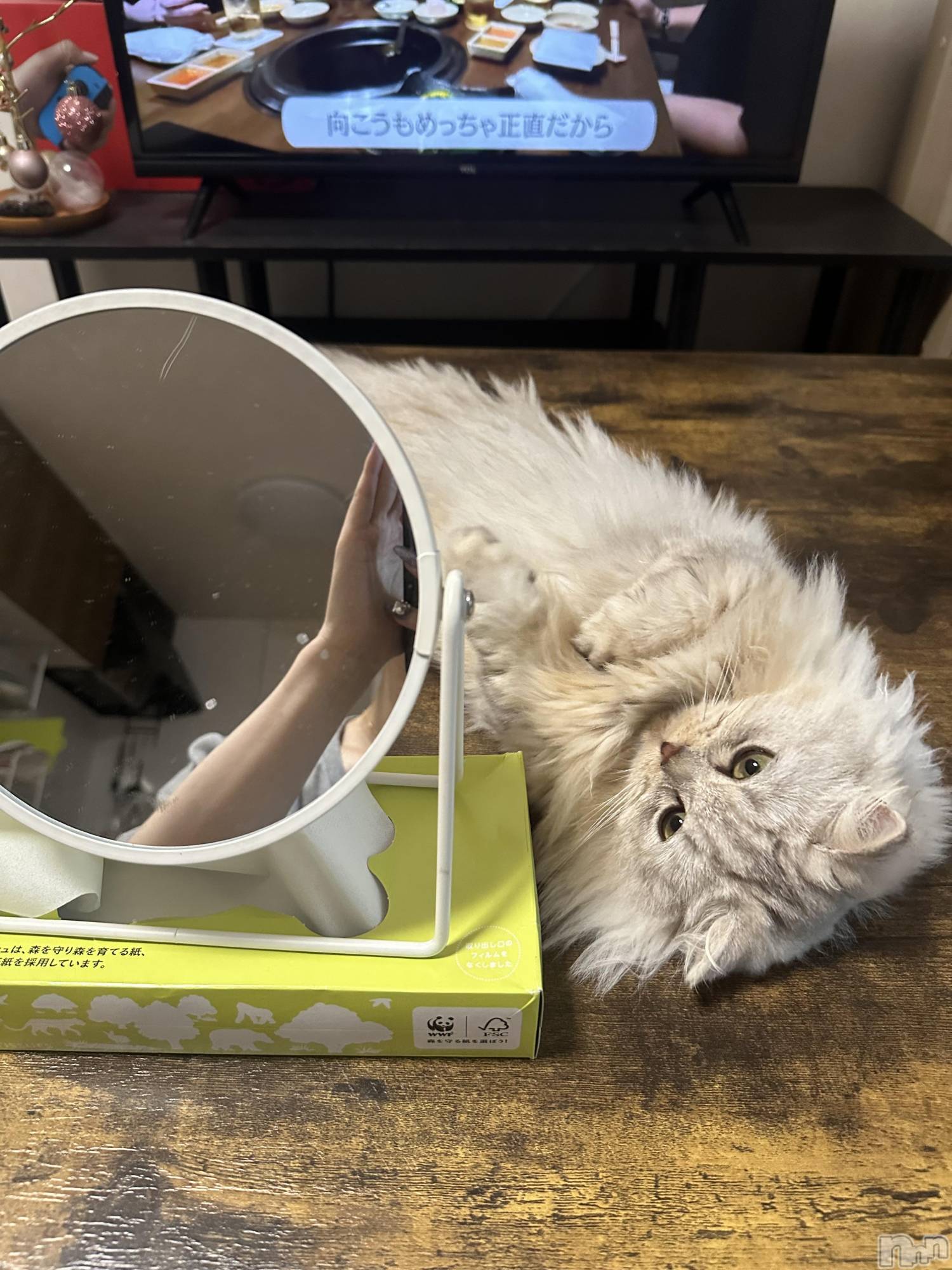 ��ë����Х��顦�����CLUB��Paladin(����֡��ѥ�ǥ���) ��2025ǯ10��1���̥�֥����֤ˤ��ฅ•��•ฅ��