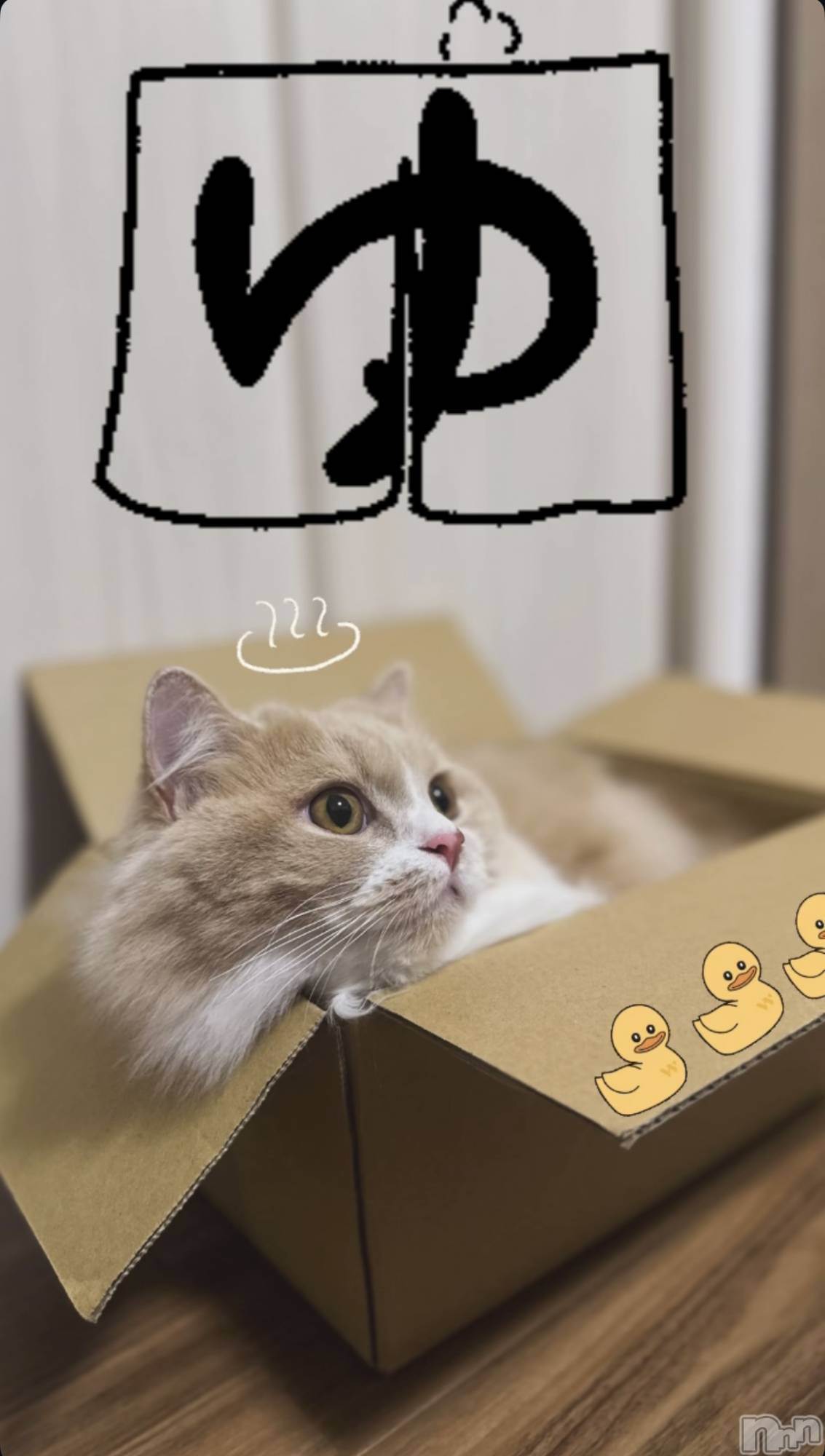 ��ë����Х��顦�����CLUB��Paladin(����֡��ѥ�ǥ���) ��2025ǯ10��9���̥�֥�����♨🐥🛁��