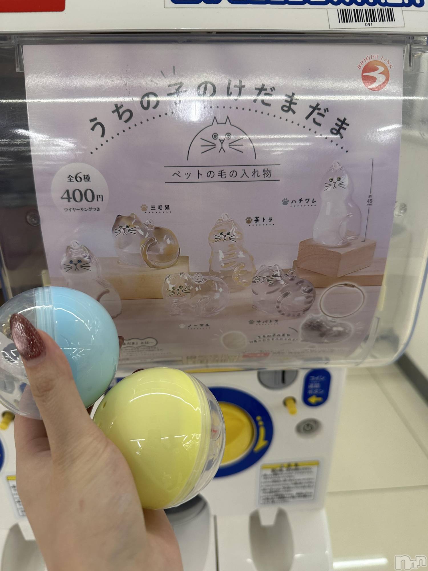 ��ë����Х��顦�����CLUB��Paladin(����֡��ѥ�ǥ���) ��2025ǯ11��25���̥�֥����֥����㥬�����(���꒳��� ����