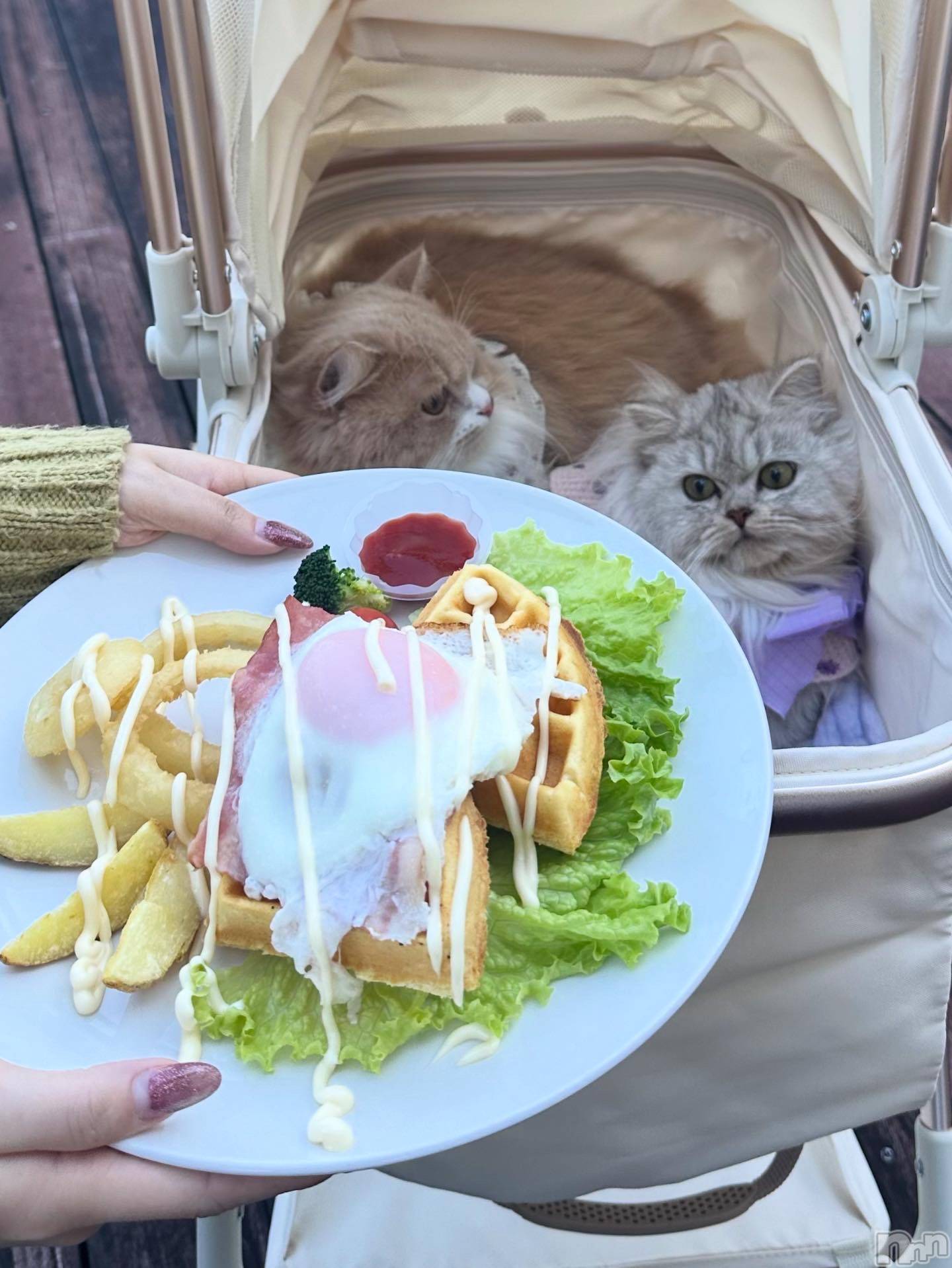 ��ë����Х��顦�����CLUB��Paladin(����֡��ѥ�ǥ���) ��2025ǯ12��5���̥�֥�����☕*���