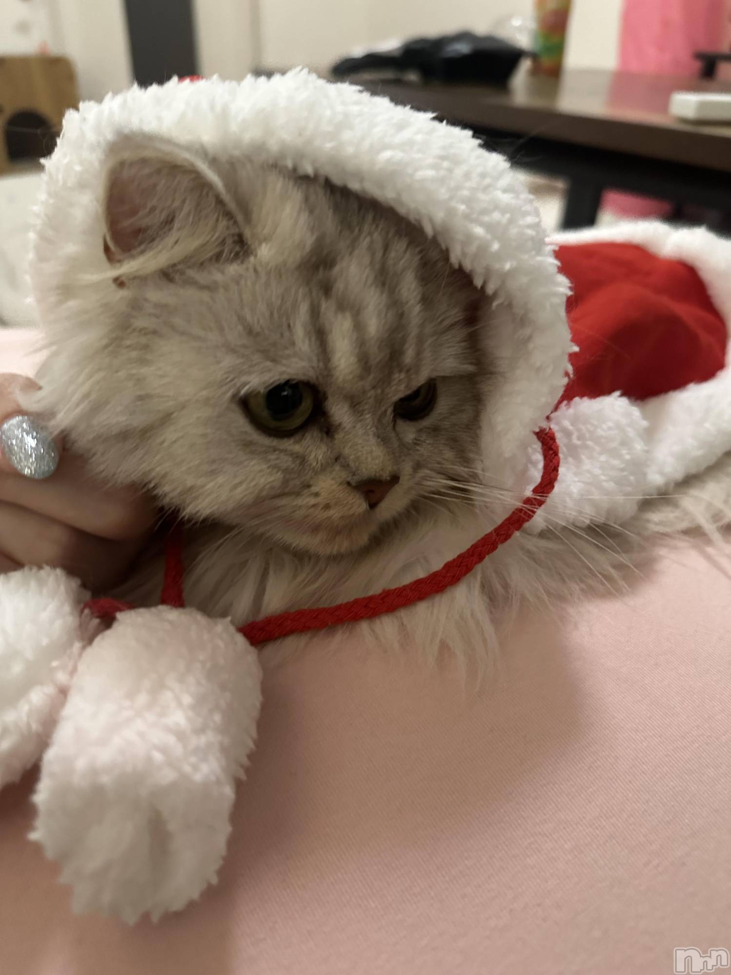 ��ë����Х��顦�����CLUB��Paladin(����֡��ѥ�ǥ���) ��2025ǯ12��6���̥�֥�����🎅🏻🎀��