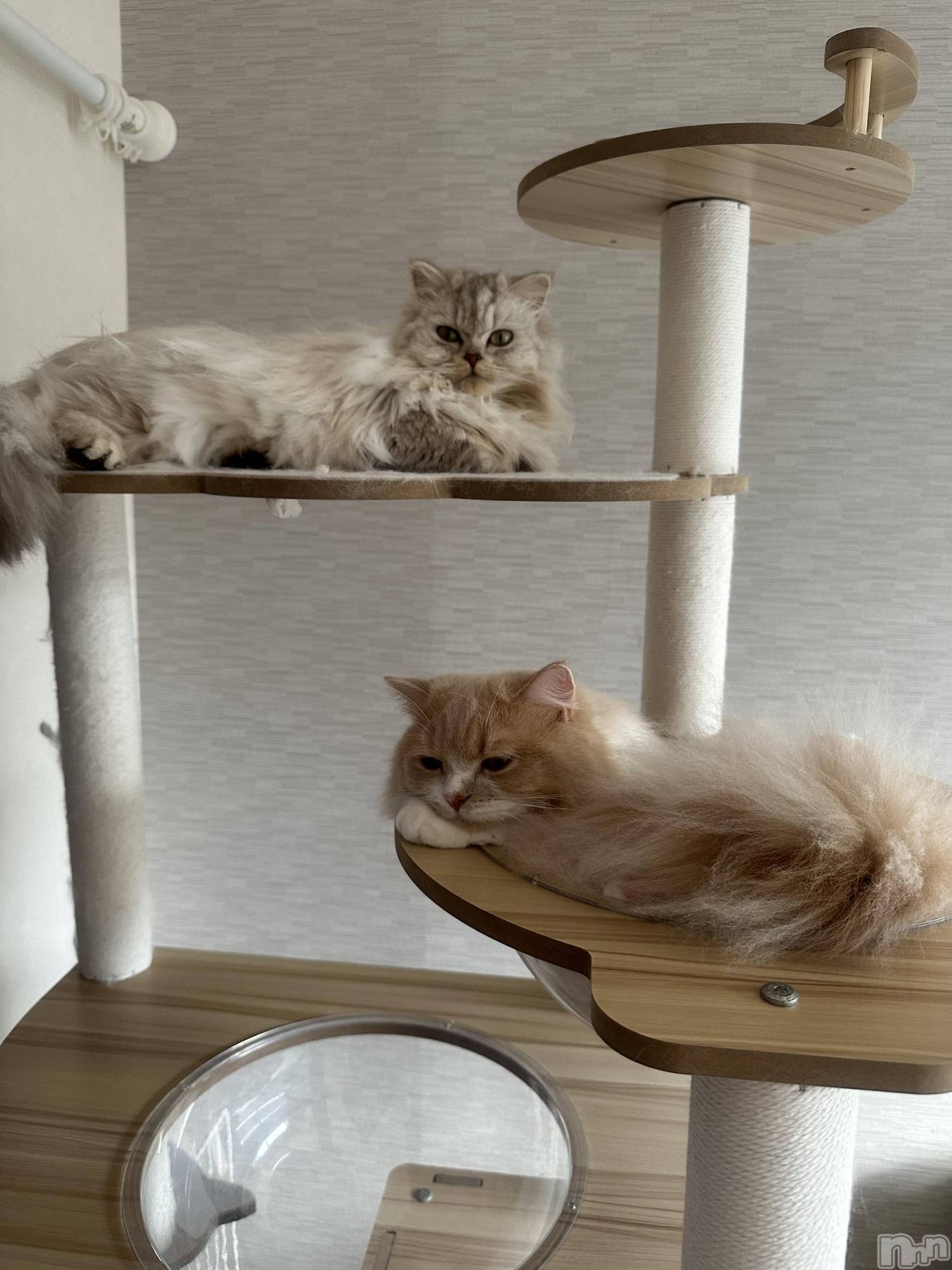 ��ë����Х��顦�����CLUB��Paladin(����֡��ѥ�ǥ���) ��2026ǯ1��28���̥�֥�����👀✨💫��