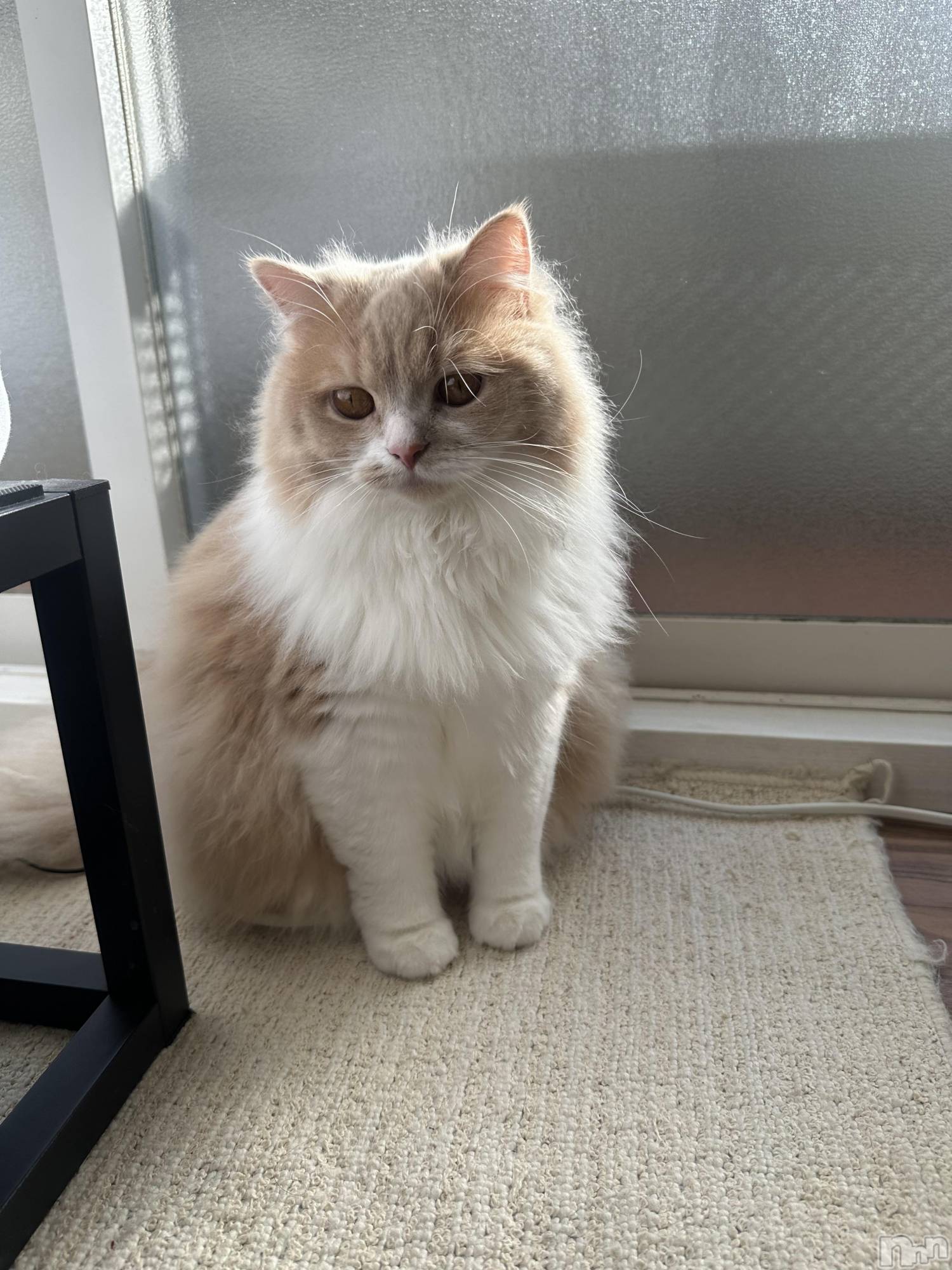 ��ë����Х��顦�����CLUB��Paladin(����֡��ѥ�ǥ���) ��2026ǯ2��4���̥�֥����֥ȥۥ۴��