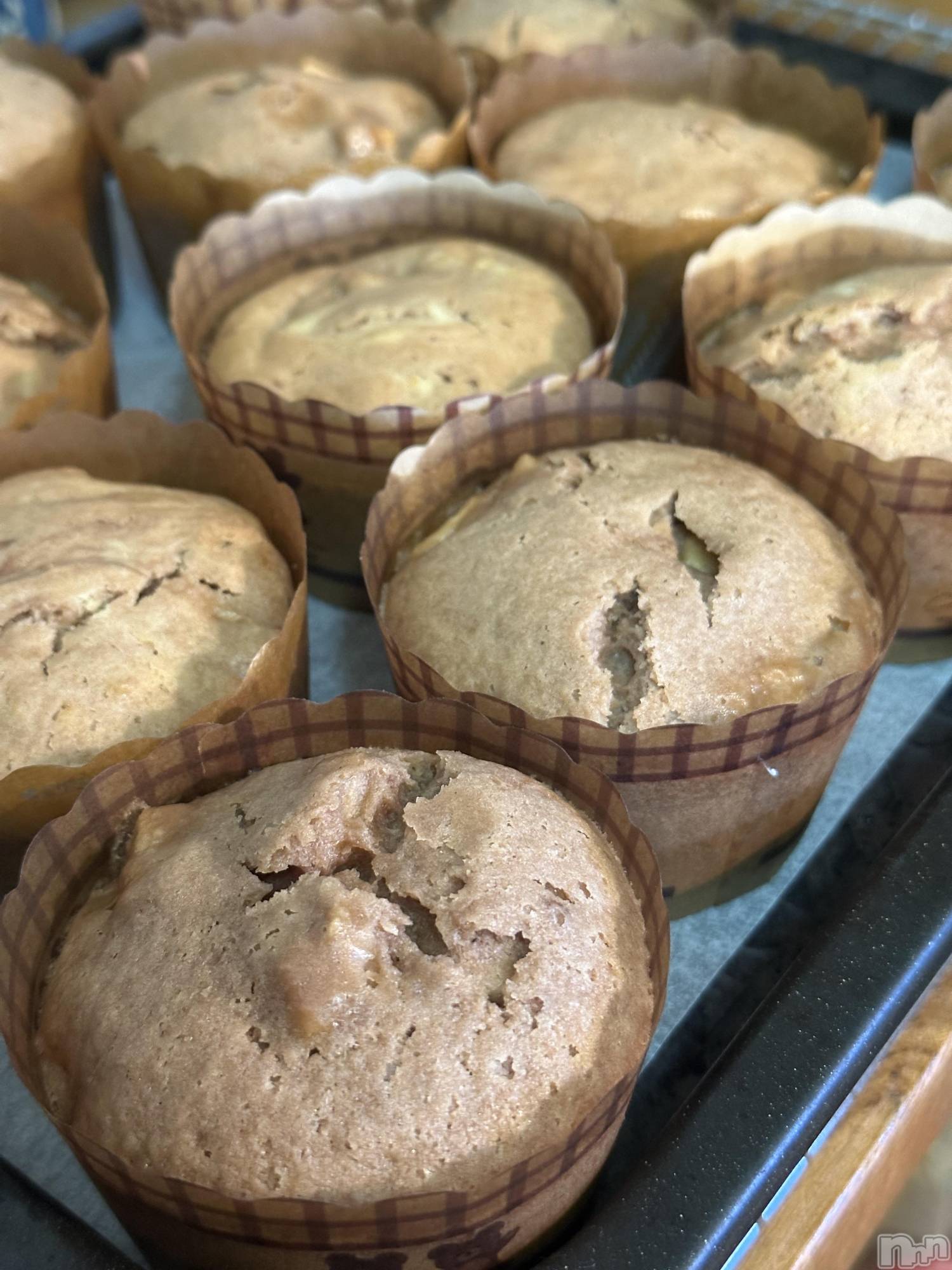 ��ë����Х��顦�����CLUB��Paladin(����֡��ѥ�ǥ���) ��2026ǯ2��13���̥�֥�����🧁🧁🤎��