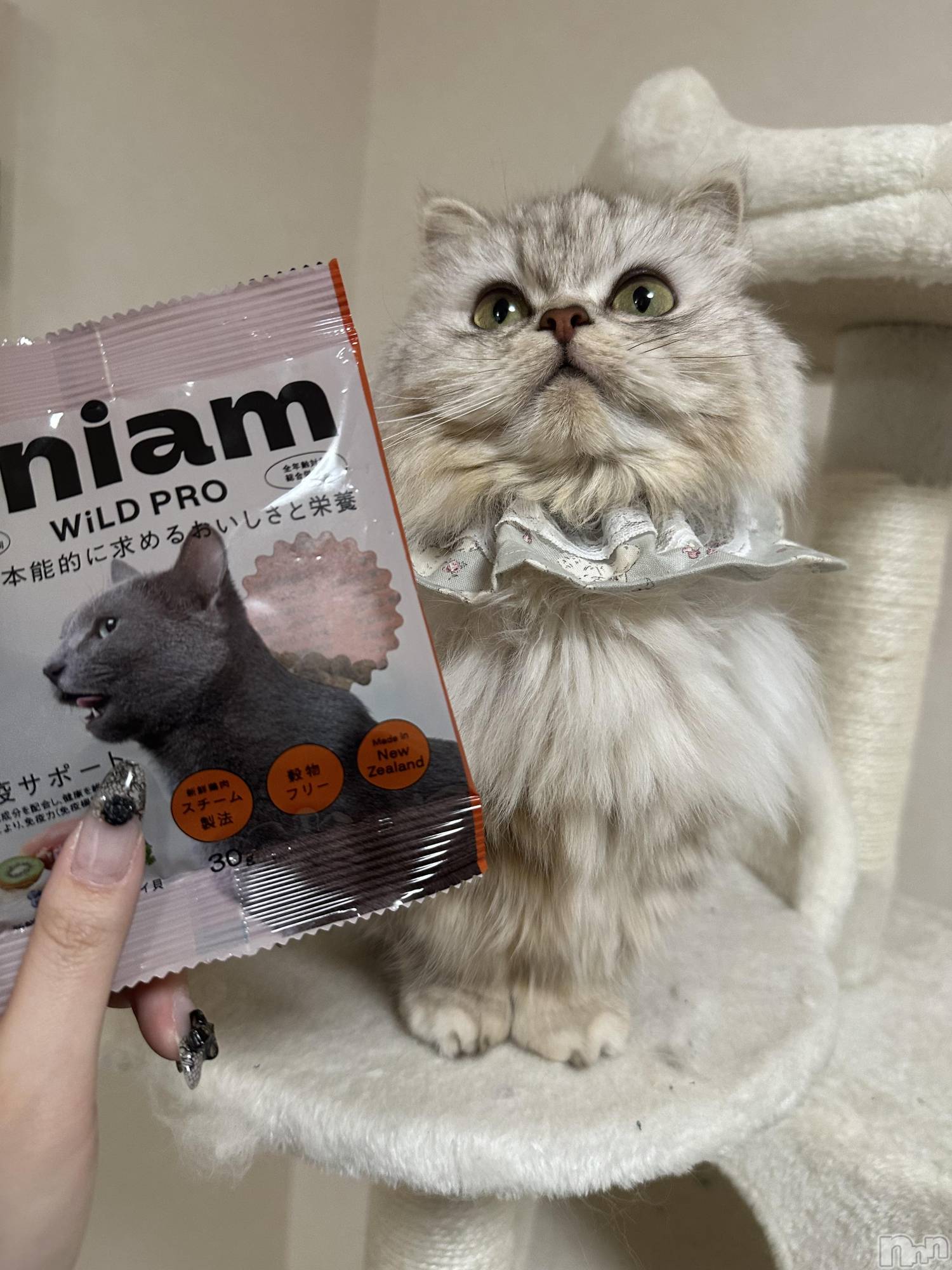 ��ë����Х��顦�����CLUB��Paladin(����֡��ѥ�ǥ���) ��2026ǯ3��12���̥�֥�����new🍚��-��