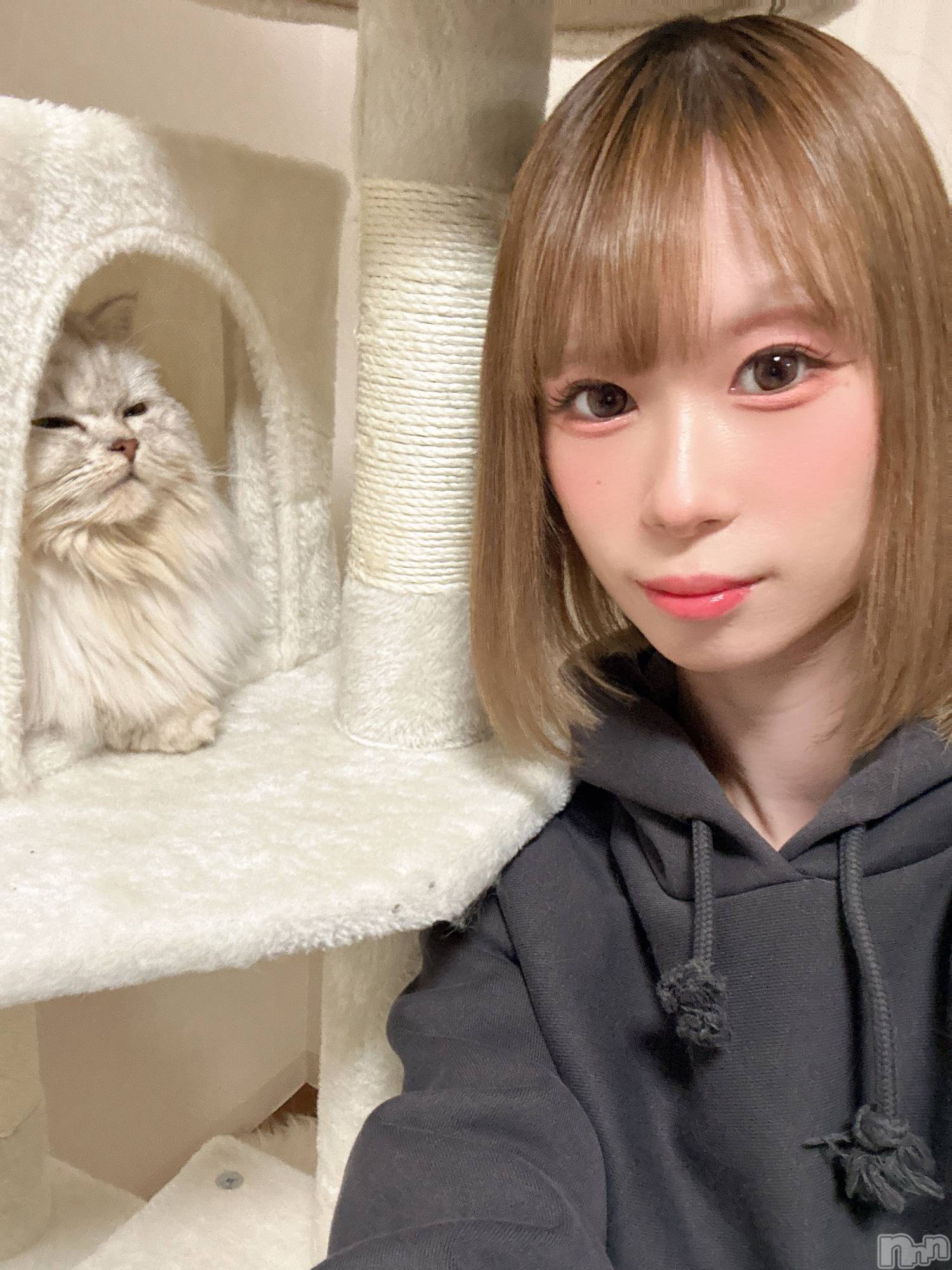 ��ë����Х��顦�����CLUB��Paladin(����֡��ѥ�ǥ���) ��2026ǯ3��13���̥�֥�����(  ³��³  )🐈zzzzz��