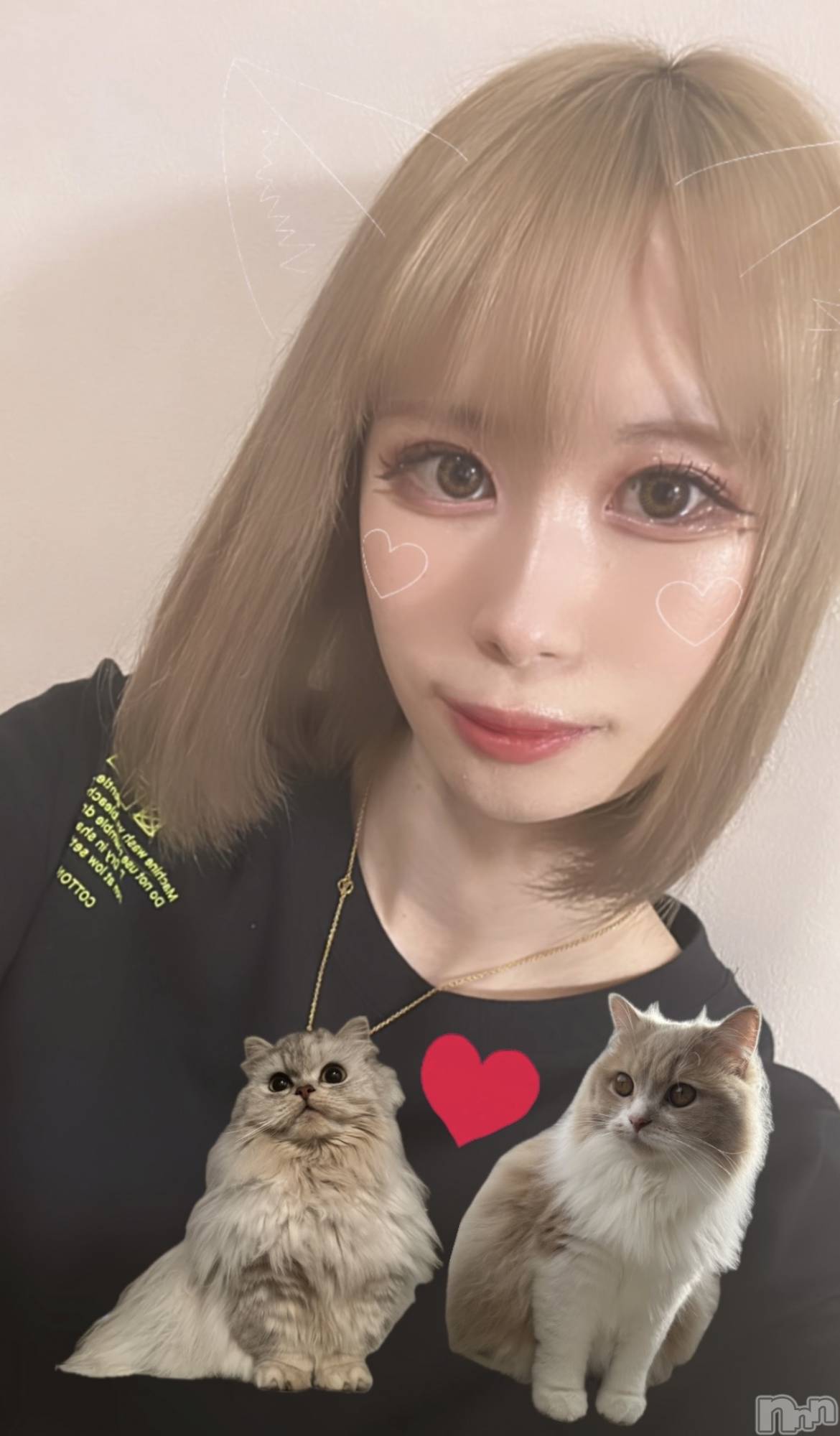 ��ë����Х��顦�����CLUB��Paladin(����֡��ѥ�ǥ���) ��2026ǯ3��16���̥�֥�����new��