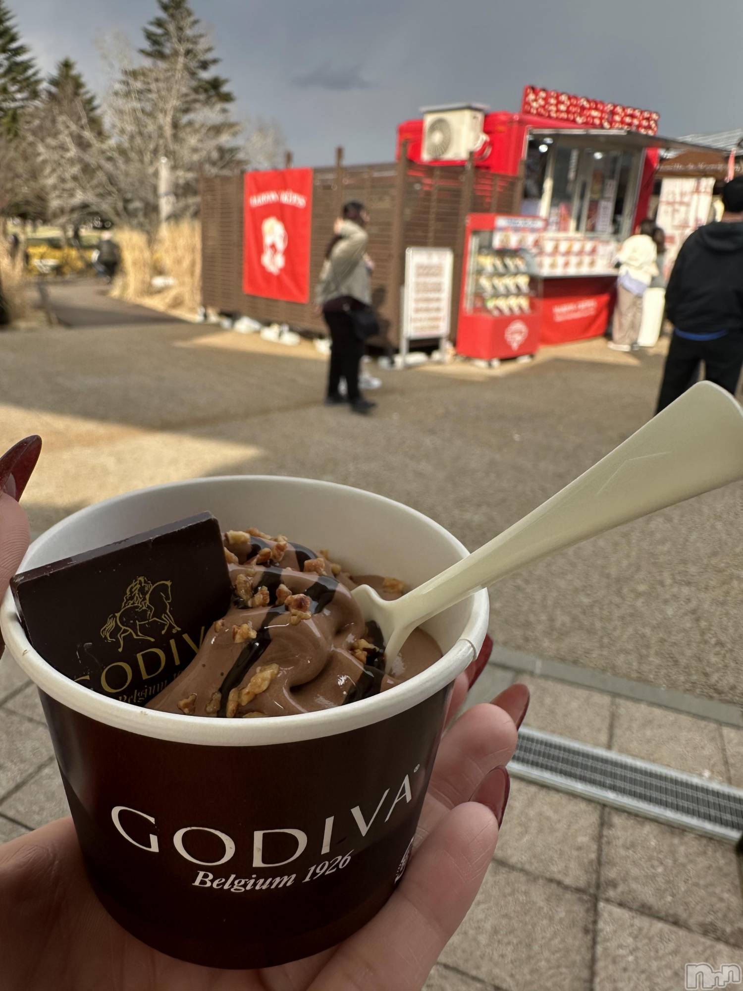 ��ë����Х��顦�����CLUB��Paladin(����֡��ѥ�ǥ���) ��2026ǯ4��5���̥�֥�����GODIVA��