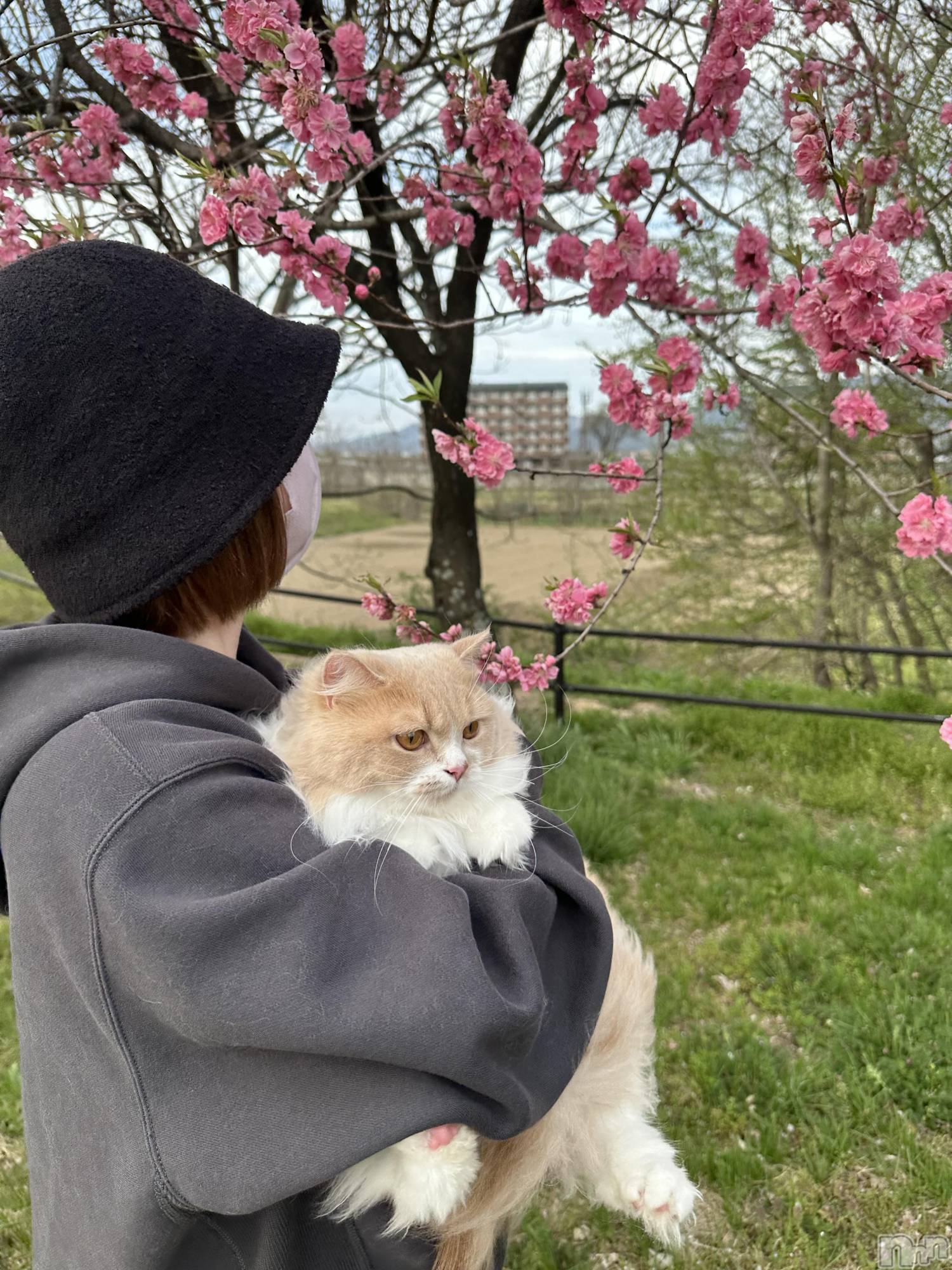 ��ë����Х��顦�����CLUB��Paladin(����֡��ѥ�ǥ���) ��2026ǯ4��14���̥�֥�����🐈💗🌸🩷��