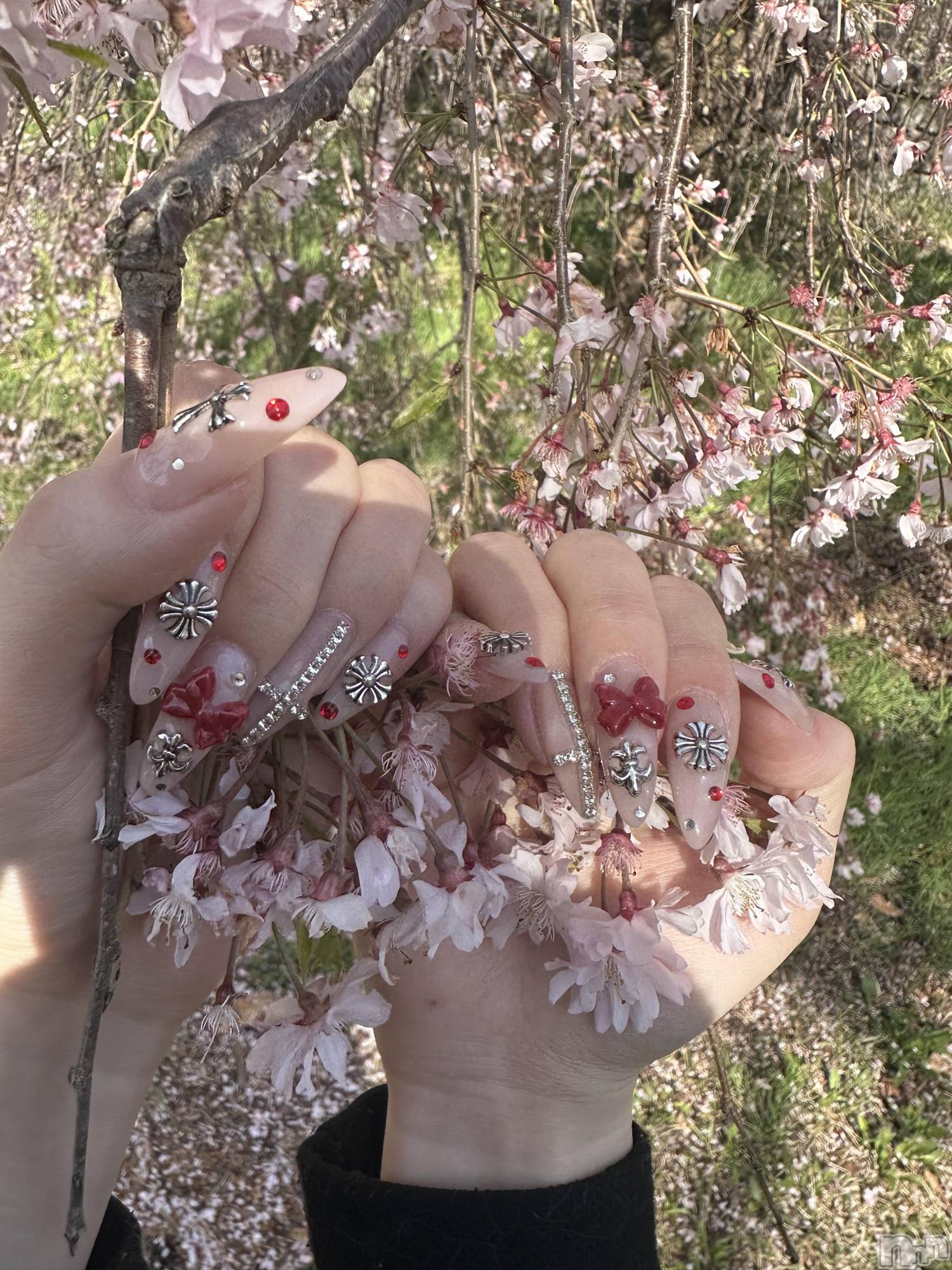 ��ë����Х��顦�����CLUB��Paladin(����֡��ѥ�ǥ���) ��2026ǯ4��18���̥�֥�����ᴺᴱᵂ◝✩��