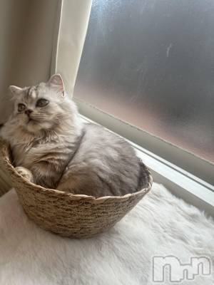 ��ë����Х��顦�����CLUB��Paladin(����֡��ѥ�ǥ���) ���ʤ�7��2���̥�֥����ֽж�2����🌼��