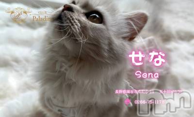 ��ë����Х��顦�����CLUB��Paladin(����֡��ѥ�ǥ���) ���ʤ�7��9���̥�֥����ֽ�̾��✨𝗻𝗲𝘄✨��