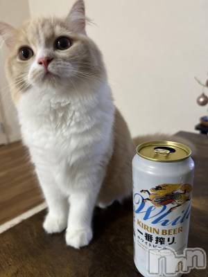 ��ë����Х��顦�����CLUB��Paladin(����֡��ѥ�ǥ���) ���ʤ�7��15���̥�֥����֥�����ǭ🦒🐈��