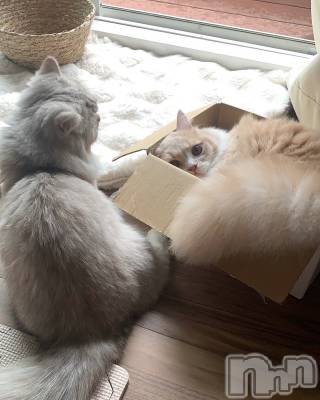 ��ë����Х��顦�����CLUB��Paladin(����֡��ѥ�ǥ���) ���ʤ�7��20���̥�֥��������ɤ��ˤ�󤳡�