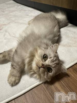 ��ë����Х��顦�����CLUB��Paladin(����֡��ѥ�ǥ���) ���ʤ�8��2���̥�֥����ֽ뤤🫠��