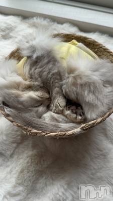 ��ë����Х��顦�����CLUB��Paladin(����֡��ѥ�ǥ���) ���ʤ�8��7���̥�֥����֤ޤ�🧺𓂃 𓈒𓏸◌‬��