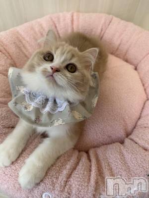 ��ë����Х��顦�����CLUB��Paladin(����֡��ѥ�ǥ���) ���ʤ�8��9���̥�֥�����T����ĥ��٥�ȤǤ���✌🏻��