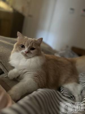 ��ë����Х��顦�����CLUB��Paladin(����֡��ѥ�ǥ���) ���ʤ�8��24���̥�֥����֥��������🧡��