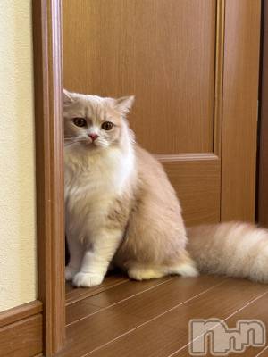 ��ë����Х��顦�����CLUB��Paladin(����֡��ѥ�ǥ���) ���ʤ�8��27���̥�֥����ֿ͸��Τ������