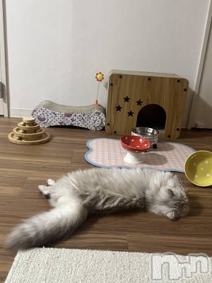 ��ë����Х��顦�����CLUB��Paladin(����֡��ѥ�ǥ���) ���ʤ�9��2���̥�֥����ֶ�ʢ�³�ǭ��