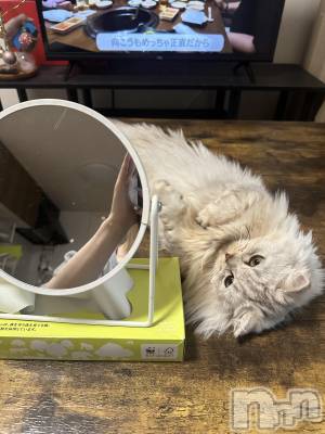 ��ë����Х��顦�����CLUB��Paladin(����֡��ѥ�ǥ���) ���ʤ�10��1���̥�֥����֤ˤ��ฅ•��•ฅ��