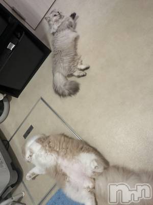 ��ë����Х��顦�����CLUB��Paladin(����֡��ѥ�ǥ���) ���ʤ�10��14���̥�֥���������ͥ�c�ޤ�.��.)�á�