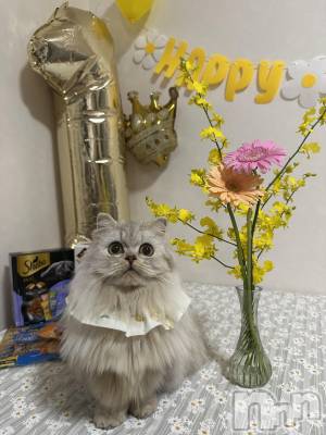 ��ë����Х��顦�����CLUB��Paladin(����֡��ѥ�ǥ���) ���ʤ�10��25���̥�֥����֤ˤ��birthday🐱🧡 🎂🧡🐱��
