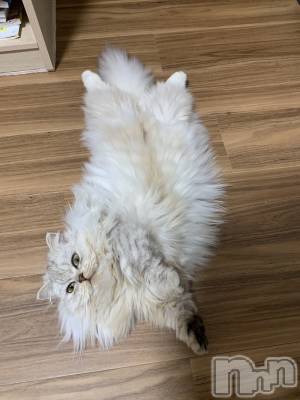 ��ë����Х��顦�����CLUB��Paladin(����֡��ѥ�ǥ���) ���ʤ�11��15���̥�֥��������Ӥ⤳�⤳�����☁️��