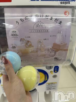 ��ë����Х��顦�����CLUB��Paladin(����֡��ѥ�ǥ���) ���ʤ�11��25���̥�֥����֥����㥬�����(���꒳��� ����